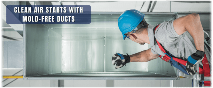 Air Duct Mold Removal in Beverly Hills