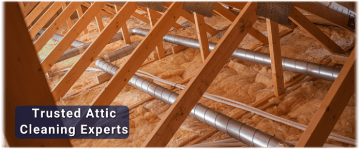 Attic Cleaning Beverly Hills