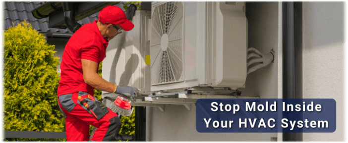 HVAC Mold Removal Beverly Hills